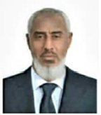 Mohamed Saleh Basha